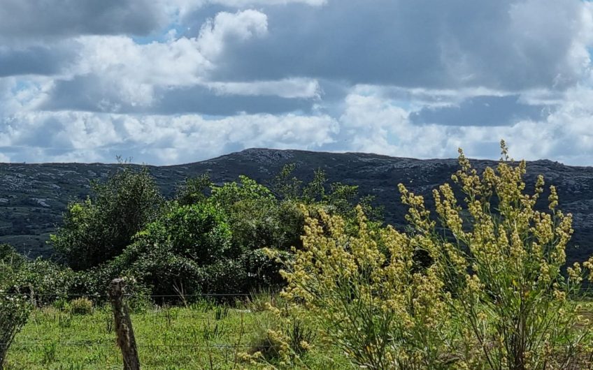Chacras 5 Has, cercano a Aigua