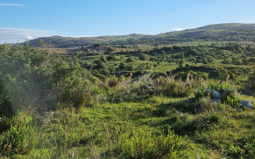Chacras 5 Has, cercano a Aigua